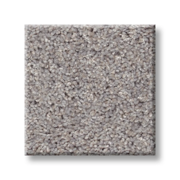 Shaw Floors: 5E788 Inlet Shore I - Carpet - Image 7