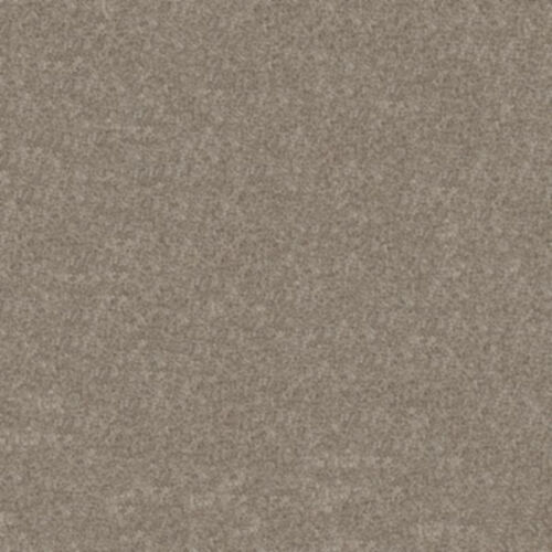 Shaw: 5E802 Grand Outlook - Carpet