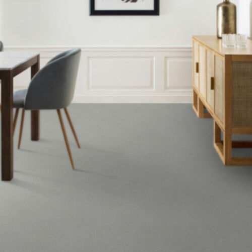 Shaw Floors: Pet Perfect+ 5E794 - Affirmation 1