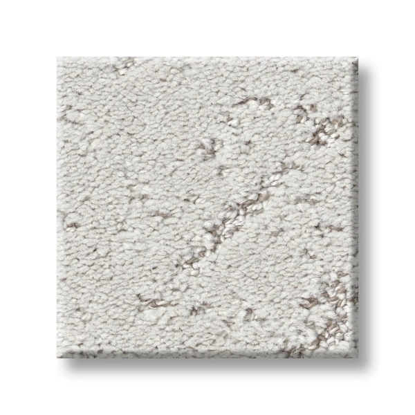 Shaw Carpet: 5E828 Sincere Focus