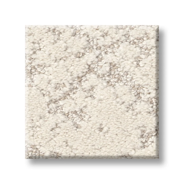 Shaw Carpet: 5E828 Sincere Focus - Image 2