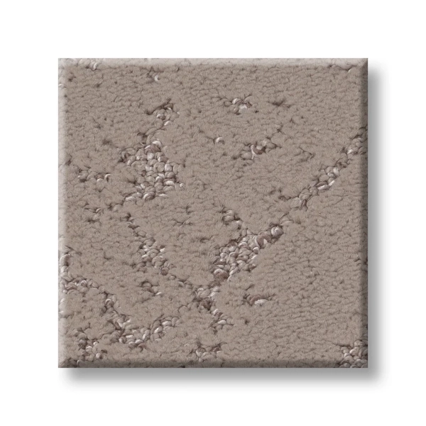 Shaw Carpet: 5E828 Sincere Focus - Image 3