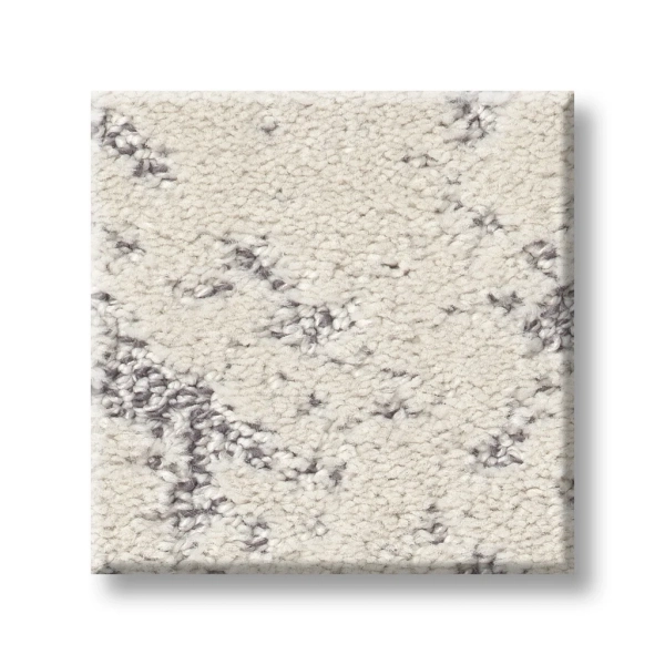 Shaw Carpet: 5E828 Sincere Focus - Image 5