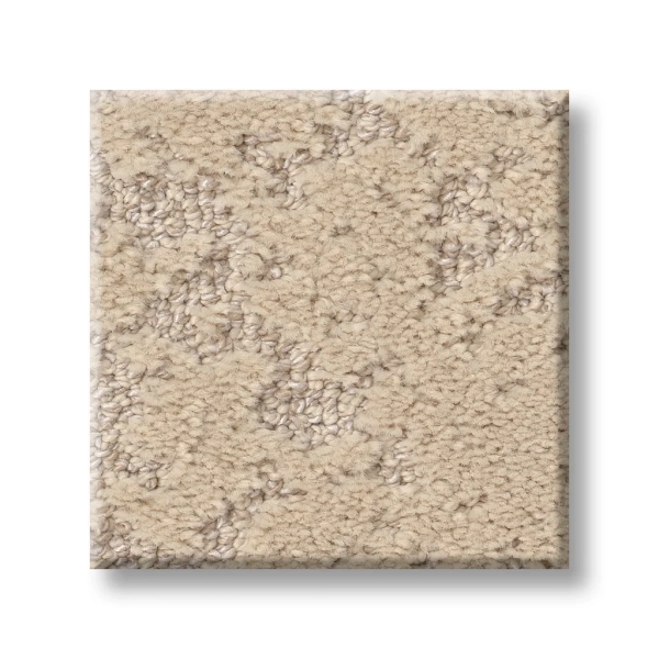 Shaw Carpet: 5E828 Sincere Focus - Image 7