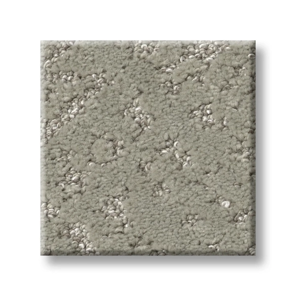 Shaw Carpet: 5E828 Sincere Focus - Image 8