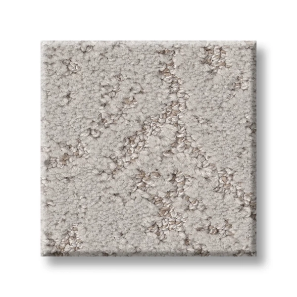 Shaw Carpet: 5E828 Sincere Focus - Image 11