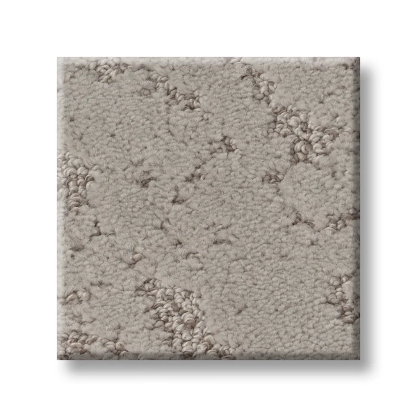 Shaw Carpet: 5E828 Sincere Focus - Image 13