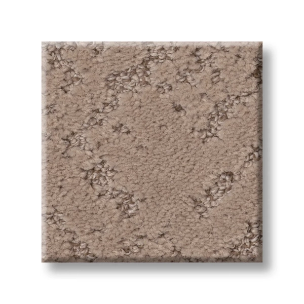 Shaw Carpet: 5E828 Sincere Focus - Image 16