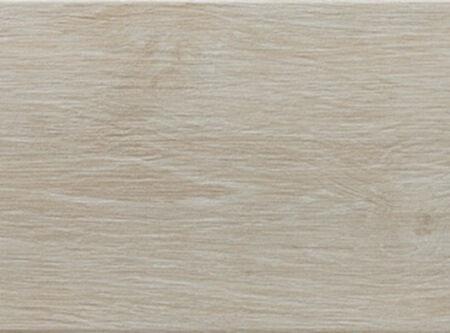 Rainforest Ivory