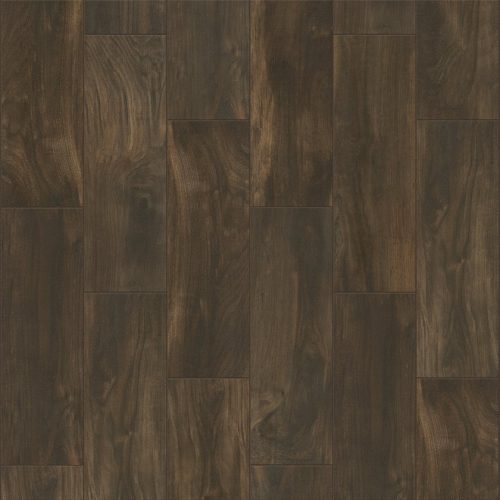 Shaw Floors: CS38Z Legacy - 770 Silhouette 7x22