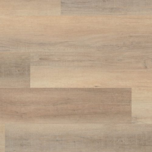 COREtec Bastion Elm ProPlus HD 9" LVP