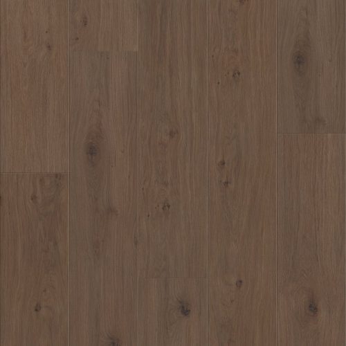 3415V-00935 FRESH TAKE 3415V  00935  TUXEDO BRONZE