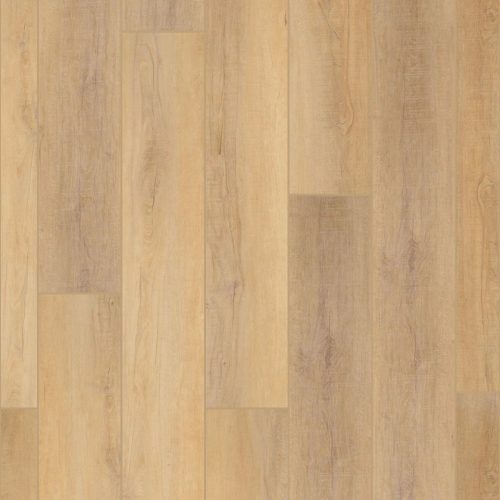 VV488-02093 PRO PLUS VV488 2093 Canterbury Elm
