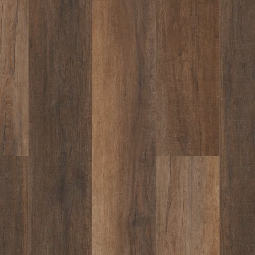 VV488-02094 PRO PLUS VV488 2094 Cheshire Elm
