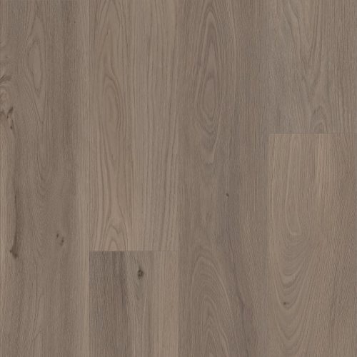 VV491-08009 PRO ENHANCED VV491 8009 London Elm