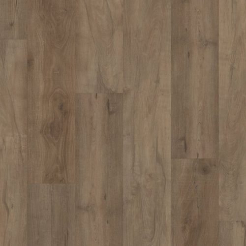VV800-03023 PRO PREMIUM VV800 3023 Warwick Maple