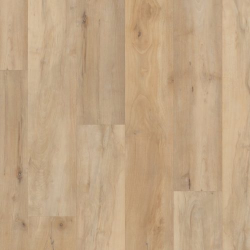 VV800-04039 PRO PREMIUM VV800 4039 Brookfield Maple
