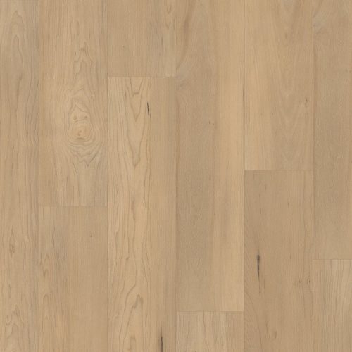 VV800-05035 PRO PREMIUM VV800 5035 Douglas Maple