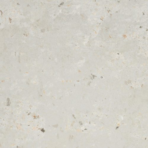 ANVAYA ASTER MATTE 12X12