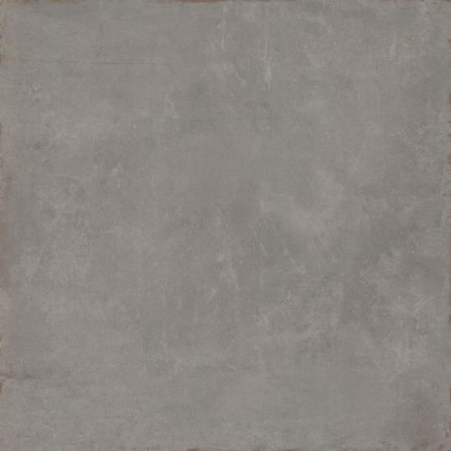 COGENT GRAY 31X31