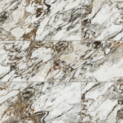 PARKVIEW ASTRAL POLISHED 12X24