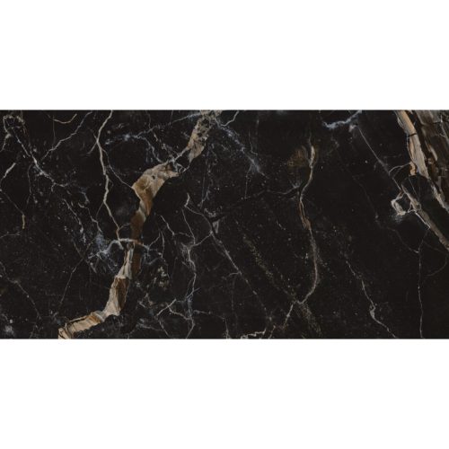 PARKVIEW BROWN POLISHED 24X47