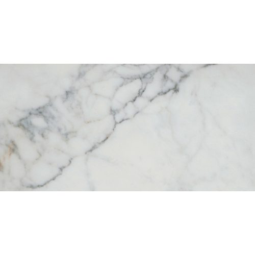 PARKVIEW WHITE MATTE 12X24