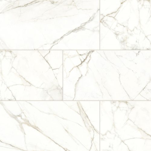 PARKVIEW WHITE POLISHED 12X24