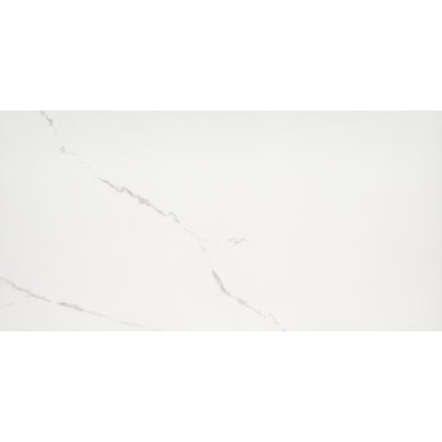 SCULPTURE WHITE MATTE 12X24
