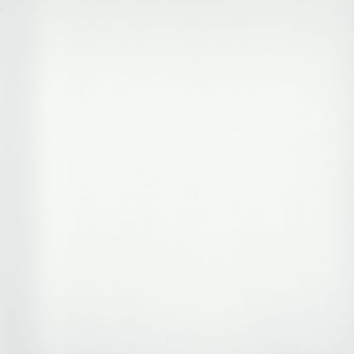 STYLE II PURE WHITE POLISHED 24X24