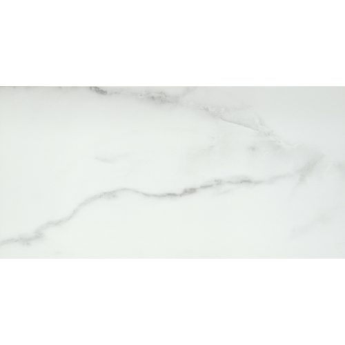 VISCONDE SILVER POLISHED 12X24