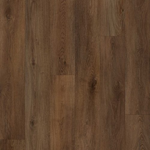 BB-XVIII Bambino Truffle Grove