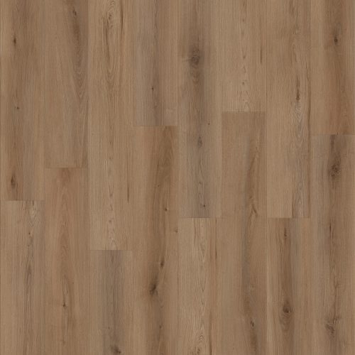 LI-CC02 Canyon Coast Alpine Ambiance