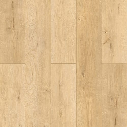LI-ID13 Indoor Delight Woodland Charm