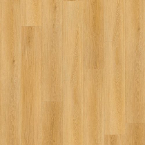 LI-LR02 Lions Reservation Endless Plains