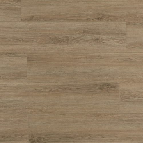 LI-SP01 Trenta Candela Amber