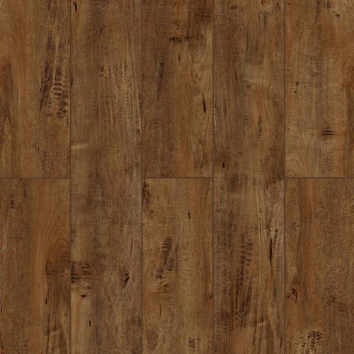 LI-TS105V2 Lone Star Spirit Chocolat