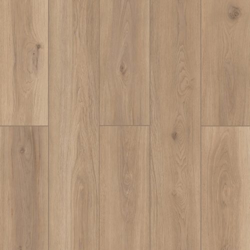 LI-TS201 Lone Star Spirit XL Artisan Touch
