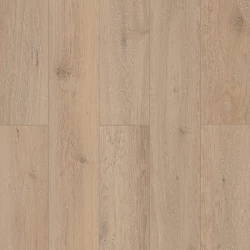 LI-TS207 Lone Star Spirit XL Sea Shell